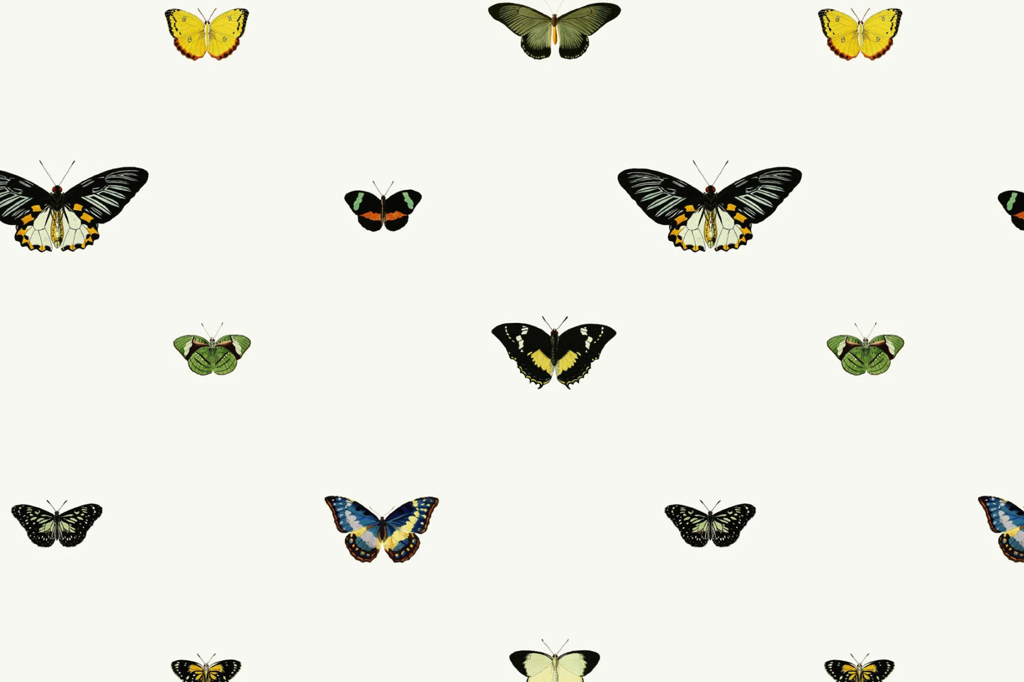 Vintage Butterfly Wallpaper Mural. Premium Quality Wallpaper Roll - 10m x 50.03cm